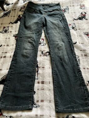 Jag Jeans Women’s Gray Flare Denim